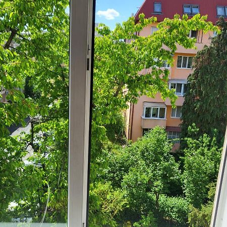 Apartament Florilor Baia Mare Exterior foto